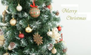 クリスマスオーナメント