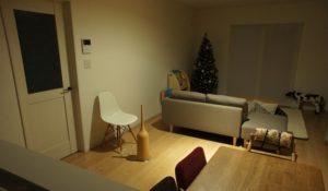 リビングダウンライト