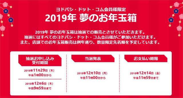 ヨドバシ2019福袋