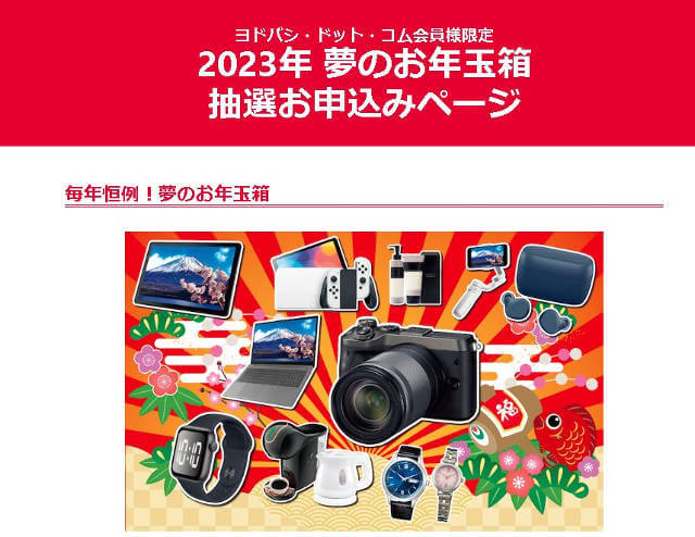 安い購入 ヨドバシカメラ 2023夢のお年玉箱 プラモデルの夢 バイオ