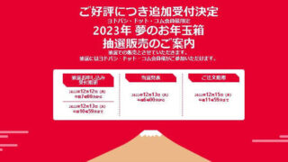 ヨドバシ福袋2023追加抽選