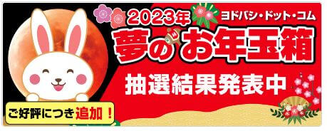 ヨドバシ福袋2023追加抽選結果発表中